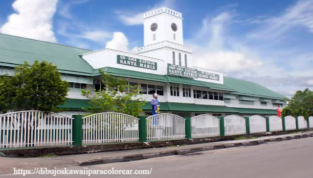 Sejarah Sekolah Santo Petrus Pontianak